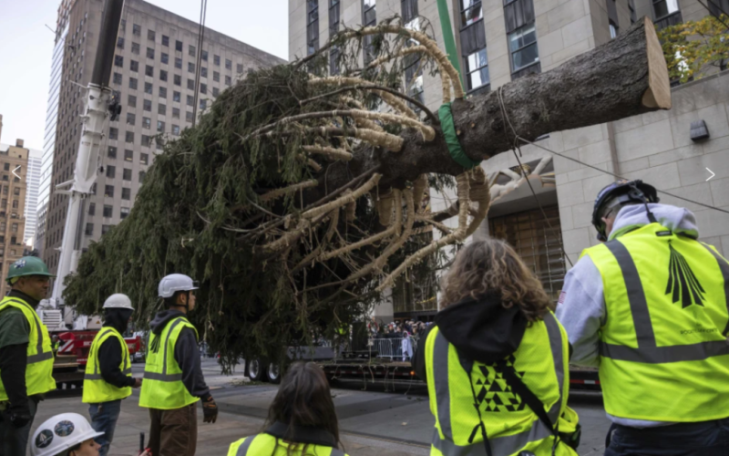 New York è in festa: un albero di Natale ha decorato il Rockefeller Center