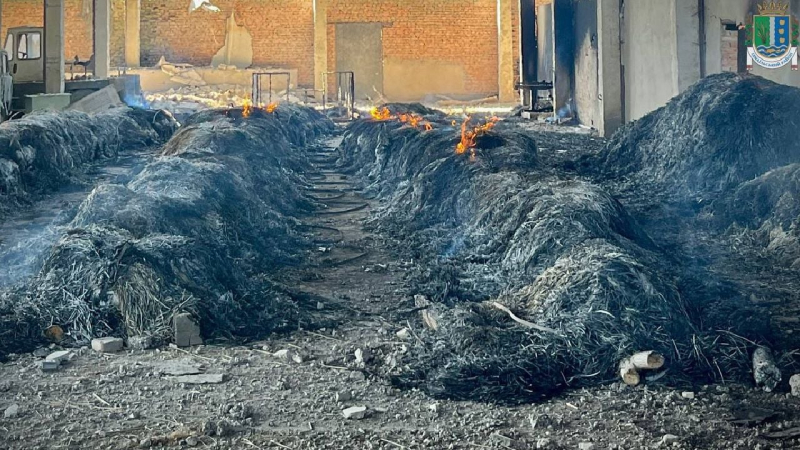 Attacco di droni a Vilkovo: conseguenze del raid notturno sulla regione di Odessa del 25 giugno Foto 1