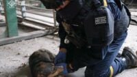 I cani sono stati rubati da Kremenchutsia