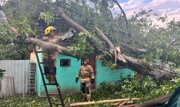 Un uragano ha travolto l'Ucraina: alberi abbattuti, insediamenti senza elettricità