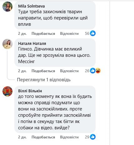 Бразильская "заклинательница животных": 5-летняя София убаюкивает зверей своим пением (видео)