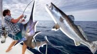 Giornata del pescatore 2025: congratulazioni per chi non riesce a immaginare la vita senza una canna da pesca
